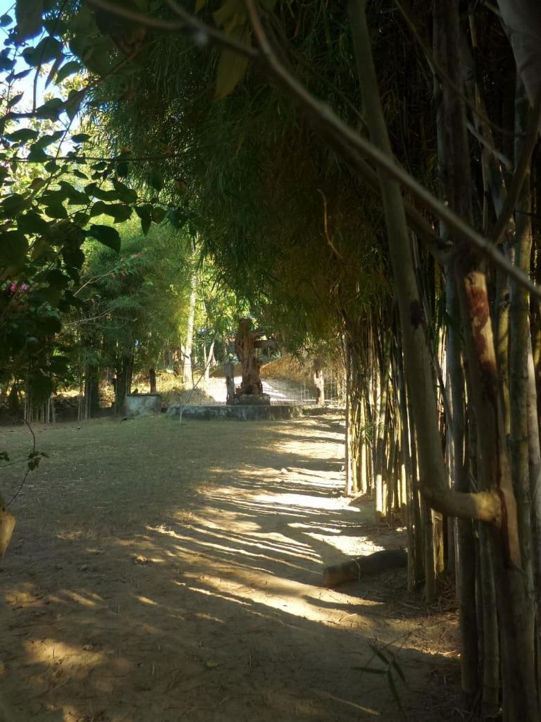 Ary'S Lagoon Bungalow & Hotel Karimunjawa Exterior photo