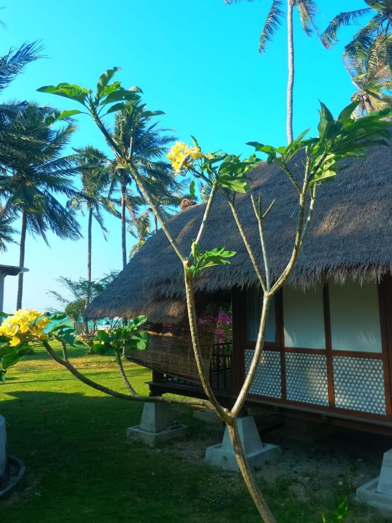 Ary'S Lagoon Bungalow & Hotel Karimunjawa Exterior photo