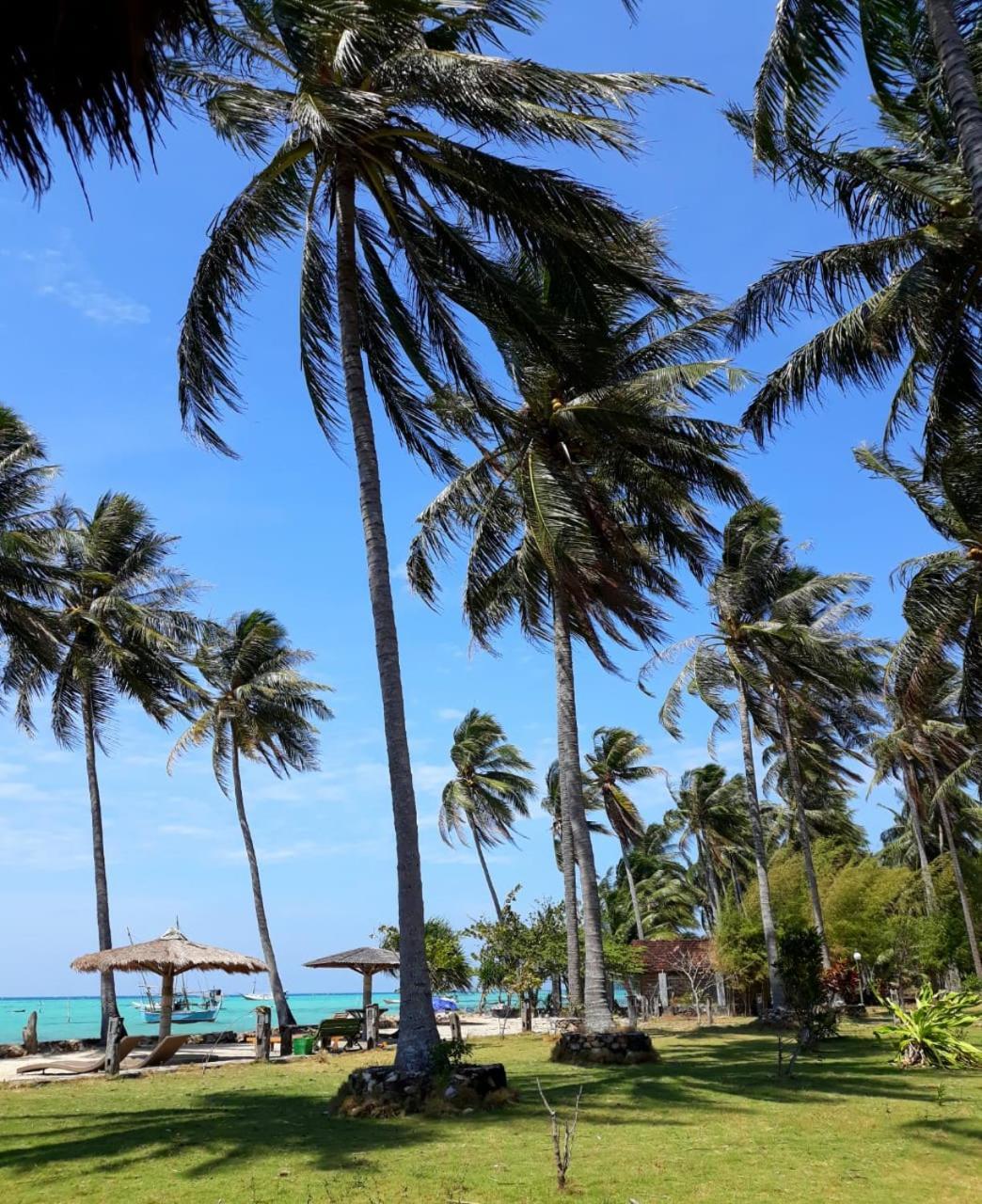 Ary'S Lagoon Bungalow & Hotel Karimunjawa Exterior photo